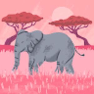 Meet your Posher, Johanna